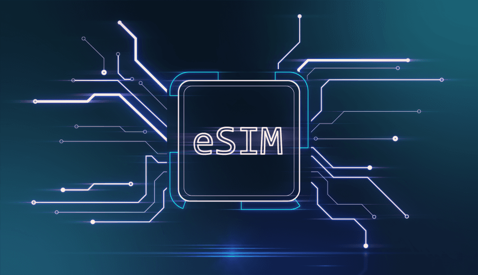 Network connectivity visualization